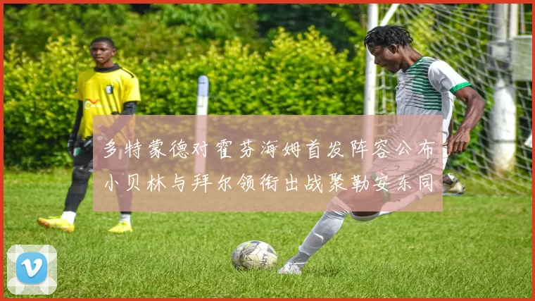 多特蒙德对霍芬海姆首发阵容公布小贝林与拜尔领衔出战聚勒安东同场竞技