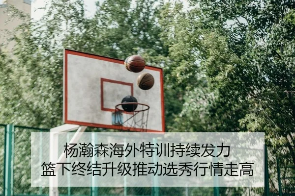 杨瀚森海外特训持续发力 篮下终结升级推动选秀行情走高 - HTHSports